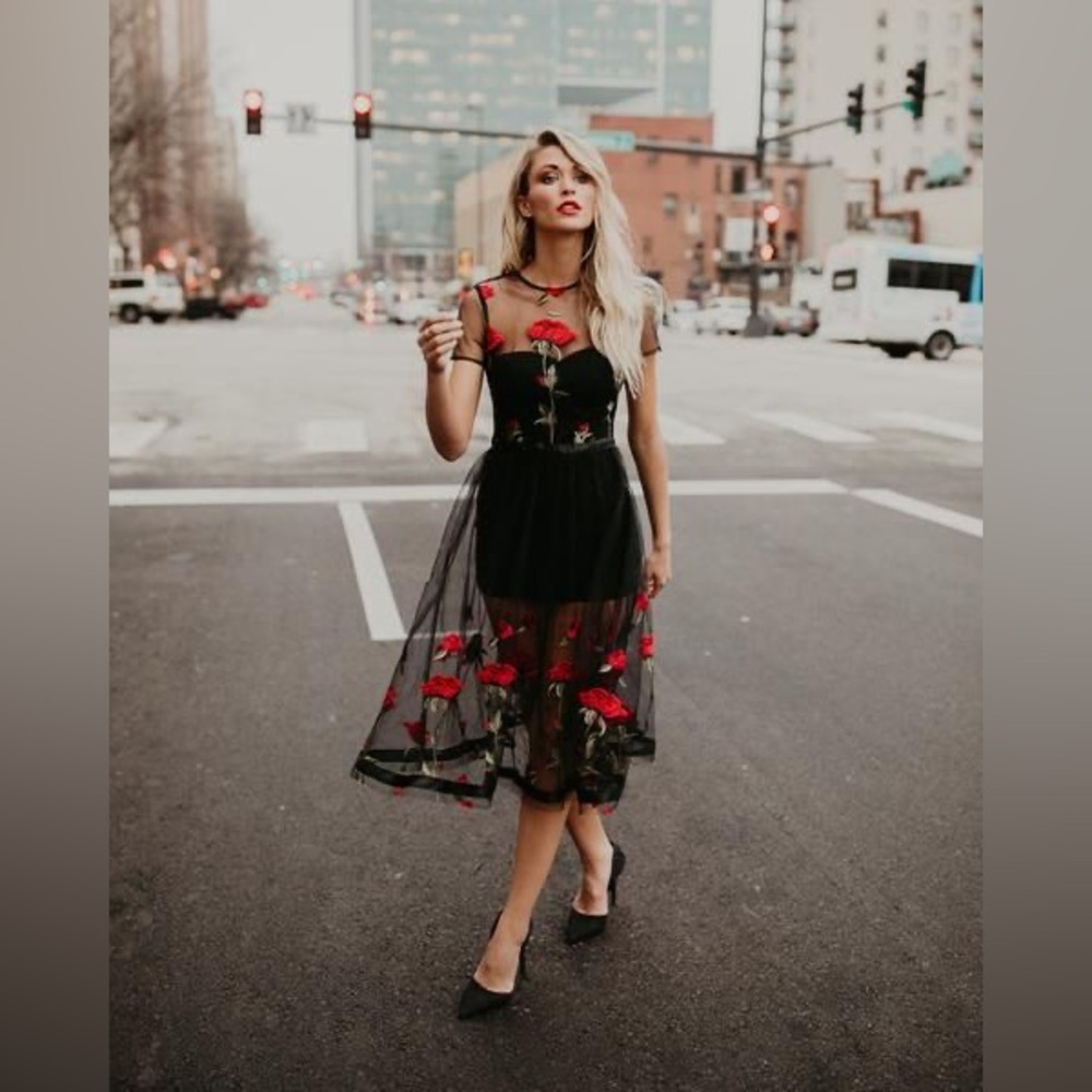 VICI Black and Red Floral Dress